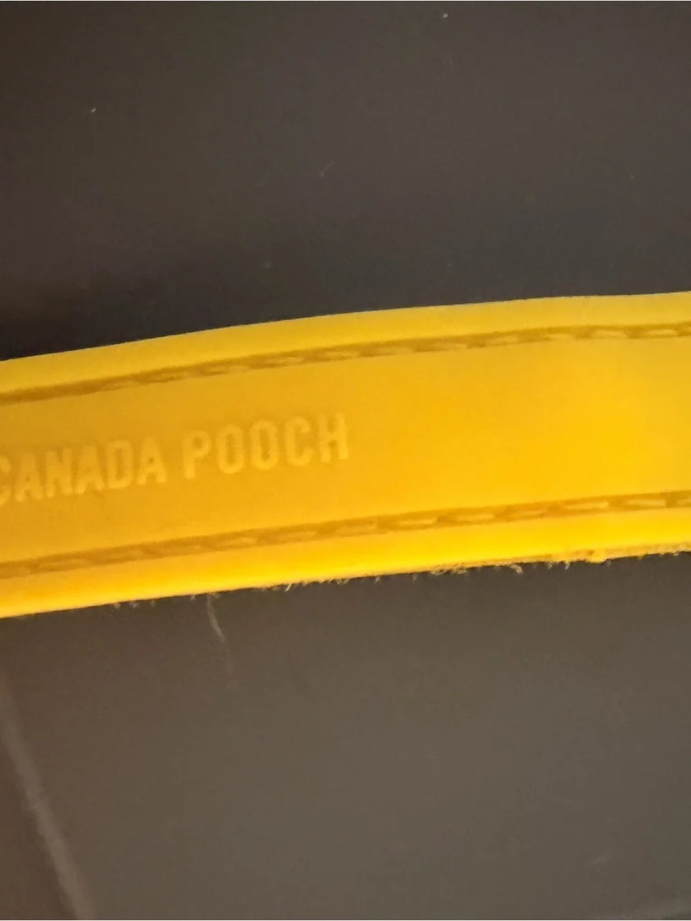 Canada Pooch doggy boots